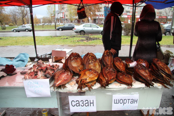 Эх, хвост, чешуя (+фото)